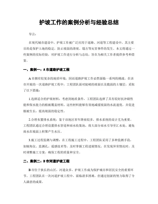 护坡工作的案例分析与经验总结