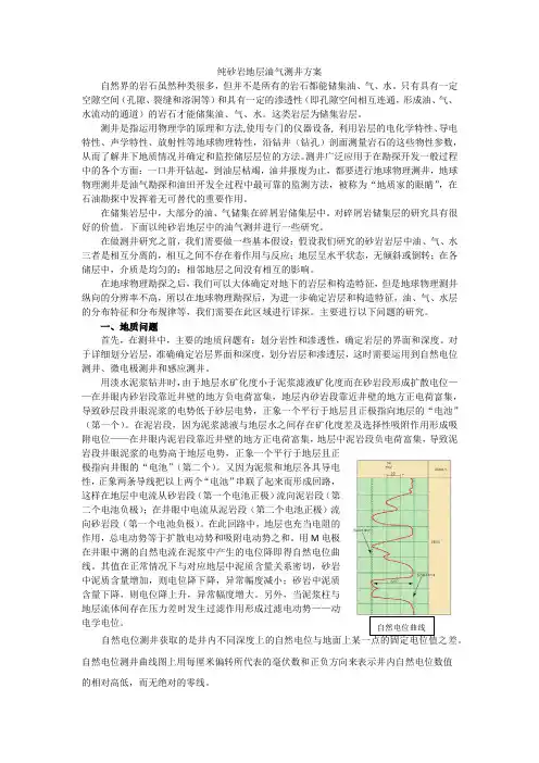 纯砂岩地层油气测井方案