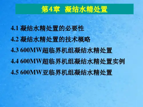凝结水精处理ppt课件