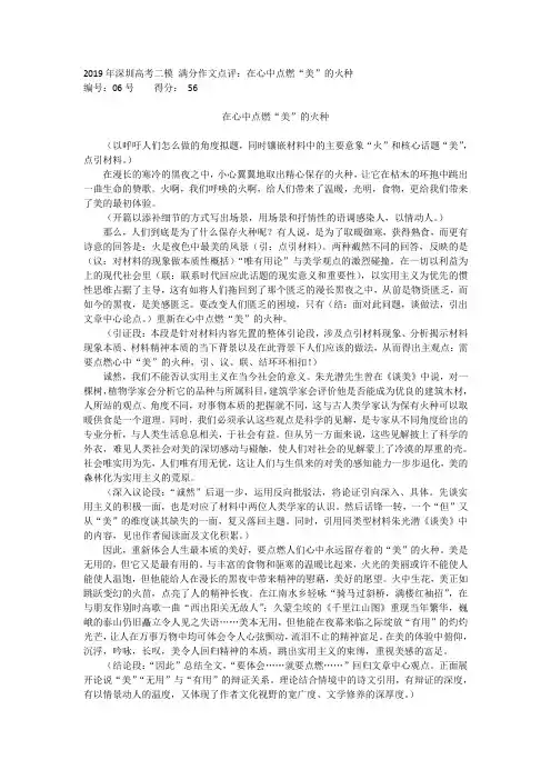 2019年深圳高考二模 满分作文点评：在心中点燃“美”的火种