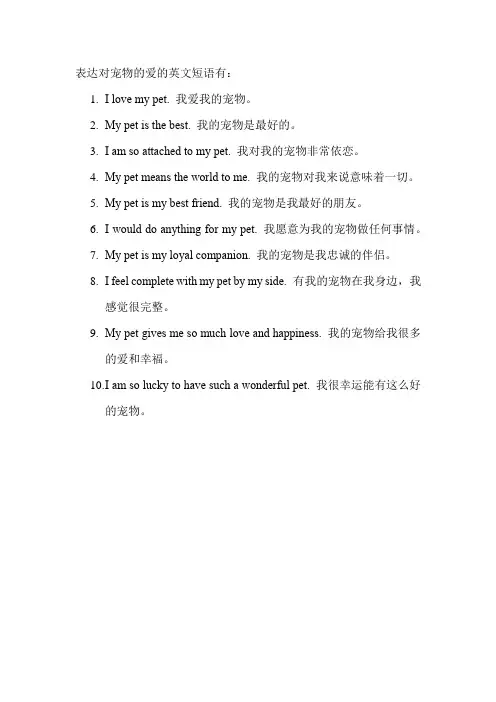 表达对宠物的爱的英文短语