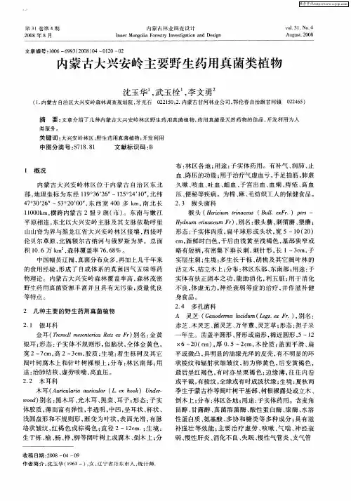 内蒙古大兴安岭主要野生药用真菌类植物