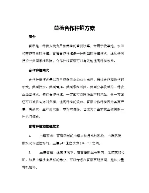 苜蓿合作种植方案