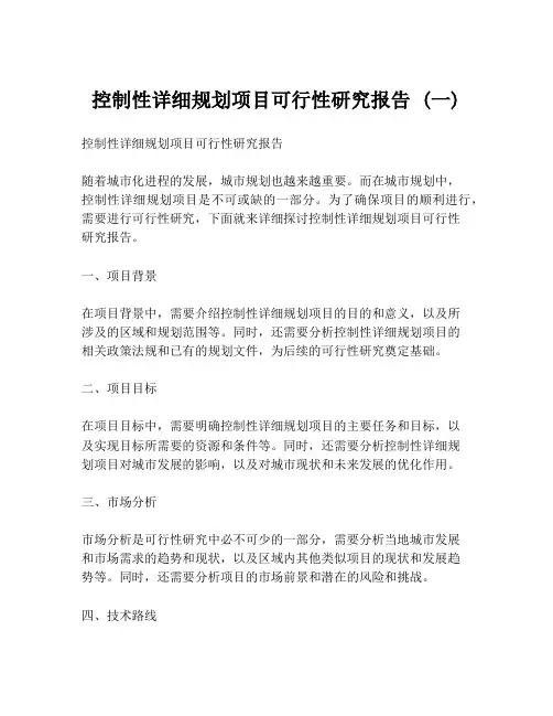 控制性详细规划项目可行性研究报告 (一)