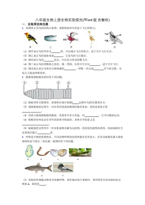 八年级生物上册生物实验探究(Word版 含解析)