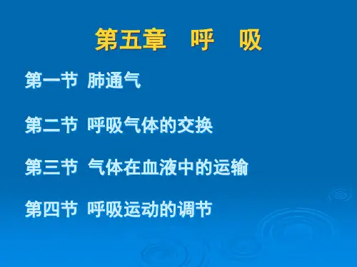 第五章呼吸ppt课件