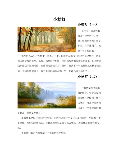 小桔灯(共10篇)