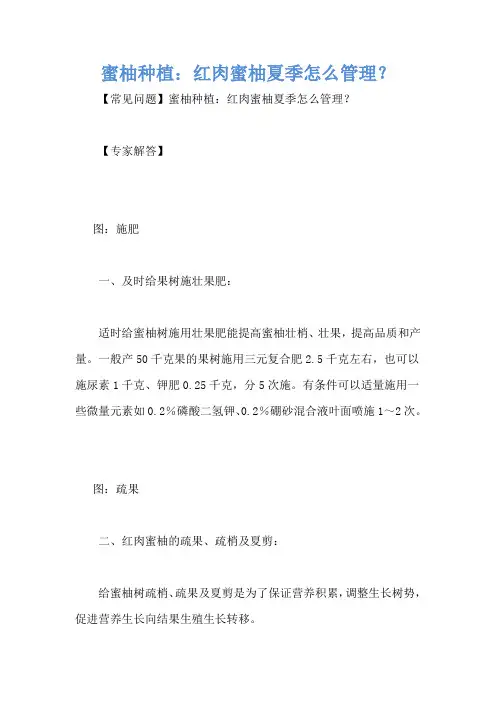 蜜柚种植：红肉蜜柚夏季怎么管理？