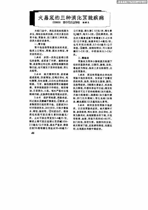 犬易发的三种消化系统疾病