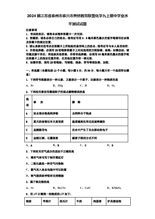 2024届江苏省泰州市泰兴市黄桥教育联盟化学九上期中学业水平测试试题含解析