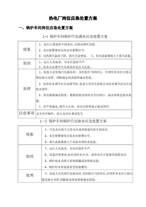 热电厂应急处置方案