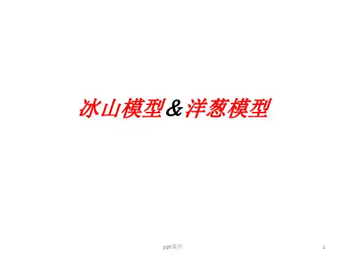 素质洋葱模型与冰山模型  ppt课件