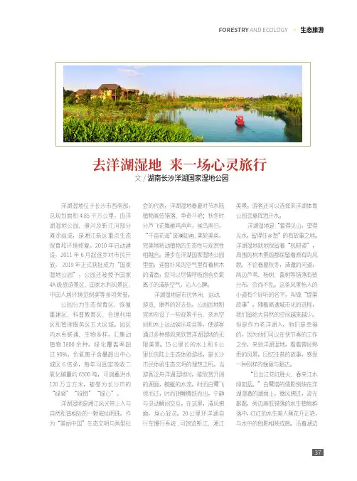 去洋湖湿地 来一场心灵旅行