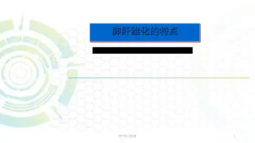 肺纤维化的特点ppt课件