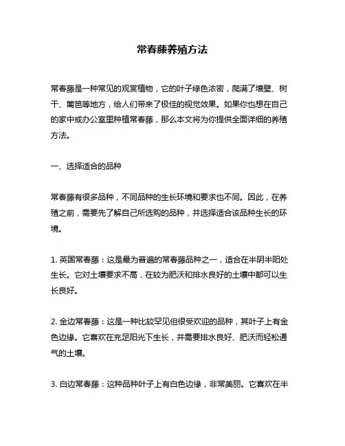 常春藤养殖方法