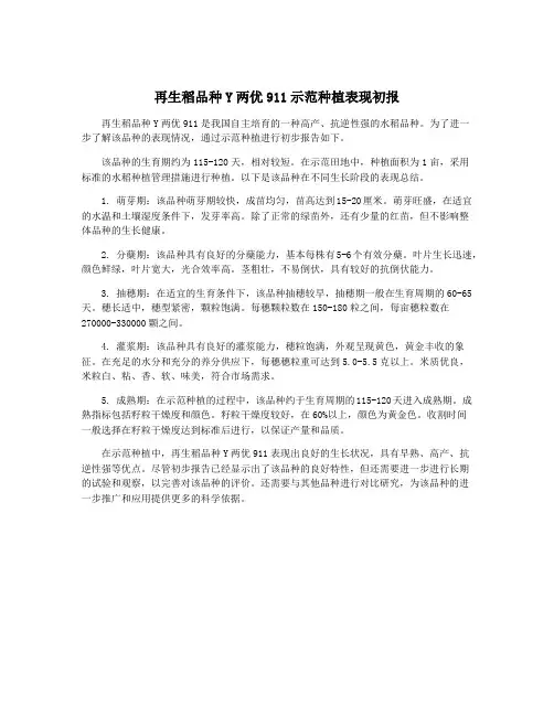 再生稻品种Y两优911示范种植表现初报