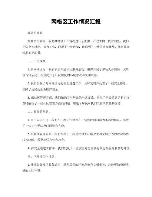 网格区工作情况汇报
