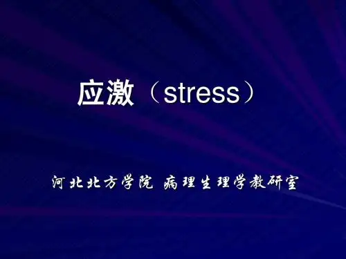 应激