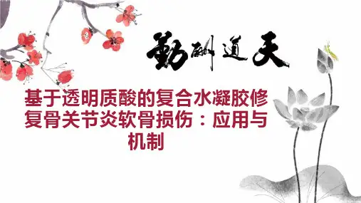 基于透明质酸的复合水凝胶修复骨关节炎软骨损伤：应用与机制