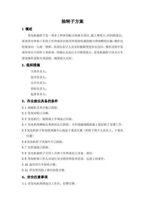 抽转子方案