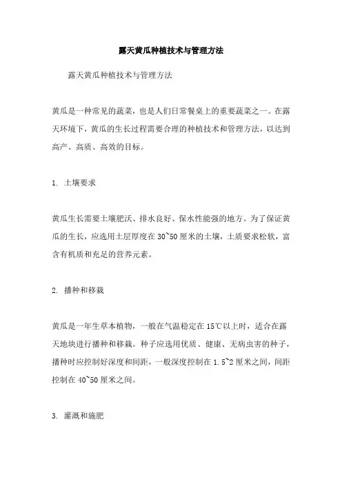 露天黄瓜种植技术与管理方法