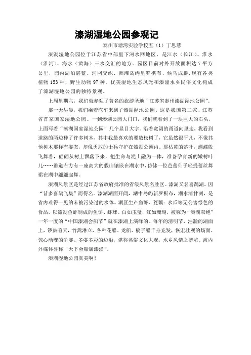 溱湖参观记