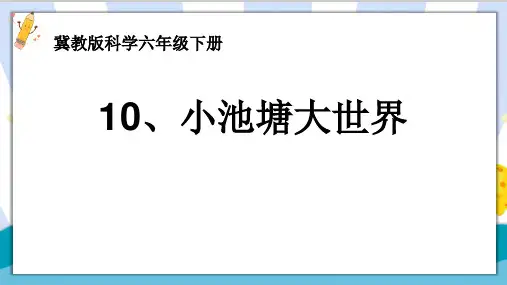 最新冀教版六年级科学下册《小池塘大世界》(第2课时)精品课件