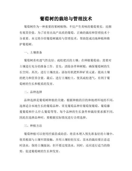葡萄树的栽培与管理技术