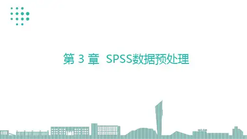 《SPSS数据分析与应用》SPSS数据预处理