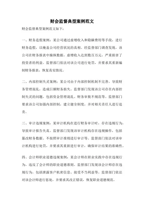 财会监督典型案例范文