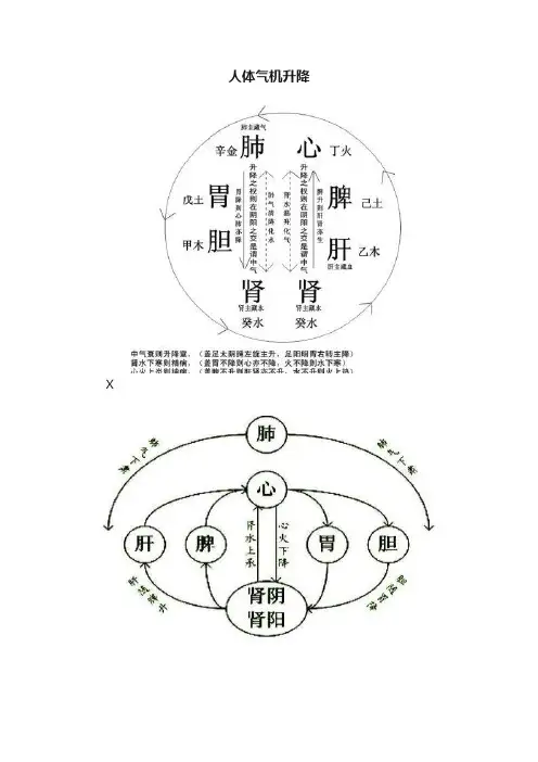 人体气机升降