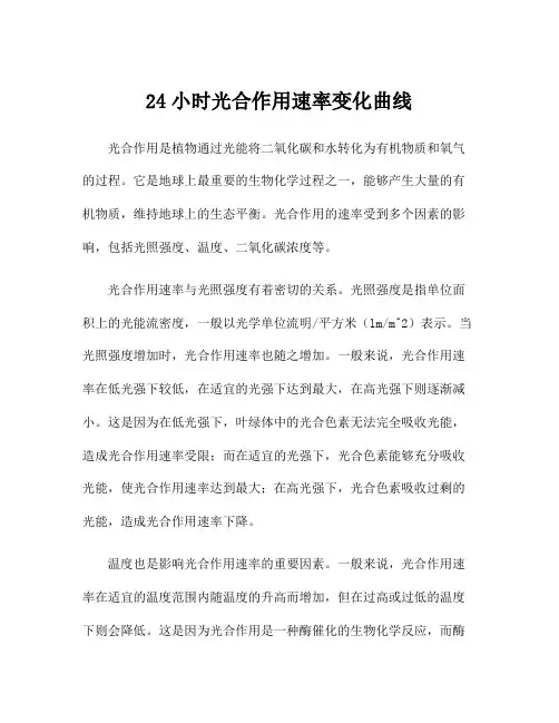 24小时光合作用速率变化曲线
