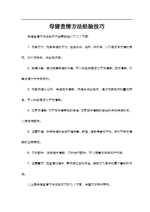 母猪查情方法经验技巧