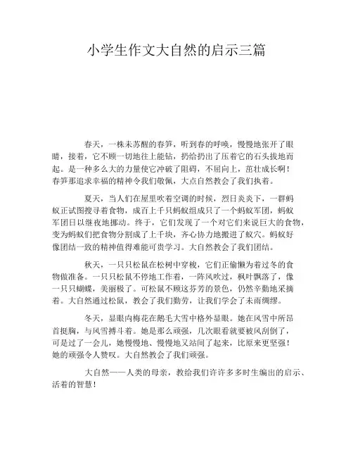 小学生作文大自然的启示三篇