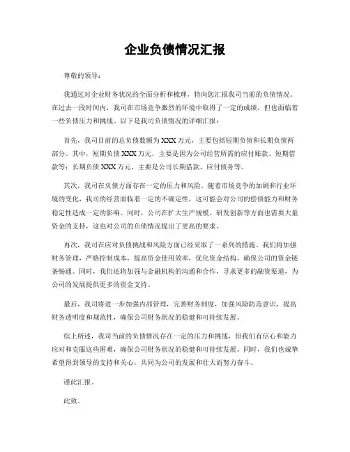企业负债情况汇报