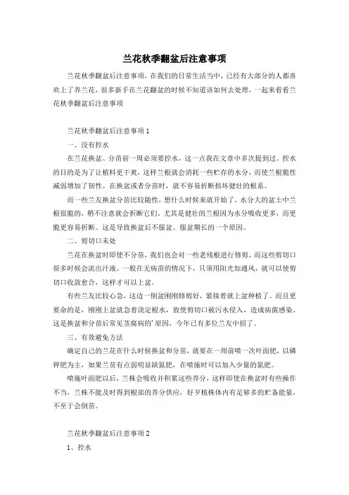 兰花秋季翻盆后注意事项