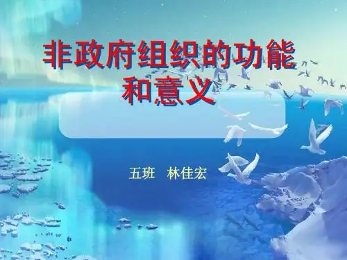 非政府组织的功能和意义ppt