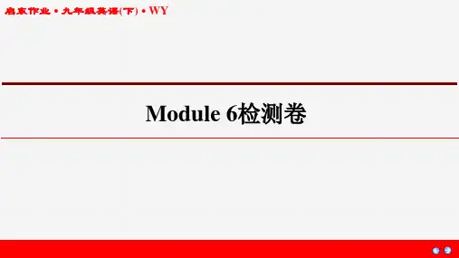 2020年春江苏启东作业课件九年级英语下(WY)Module6检测卷