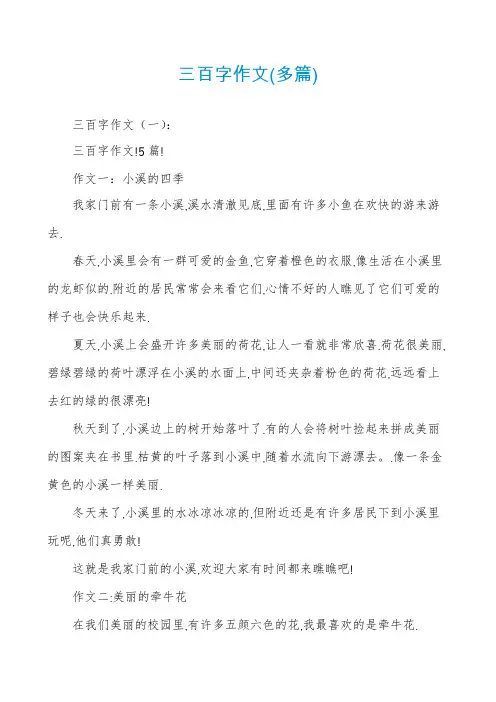 三百字作文(多篇)