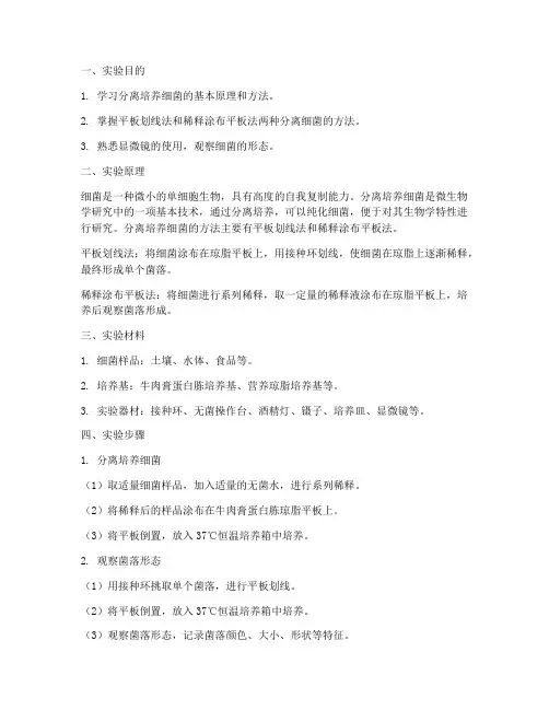 分离培养细菌的实验报告