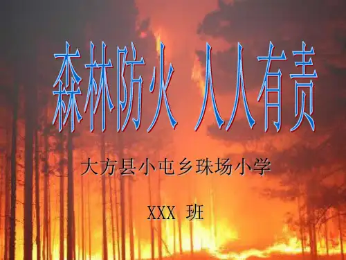 森林防火主题班会ppt课件