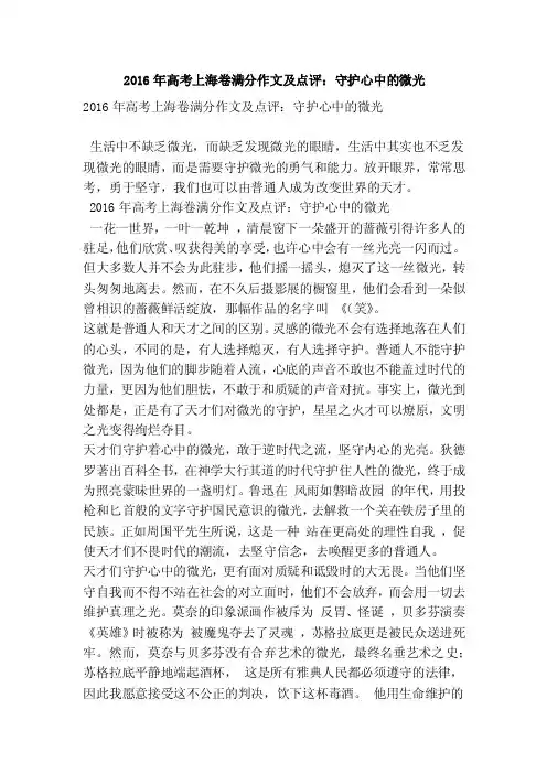 2016年高考上海卷满分作文及点评：守护心中的微光