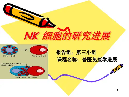 NK细胞进展ppt课件