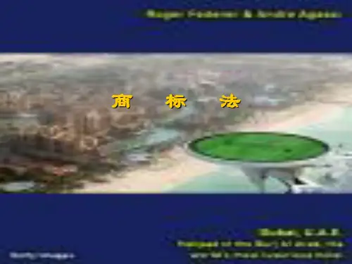 商标法PPT教学课件