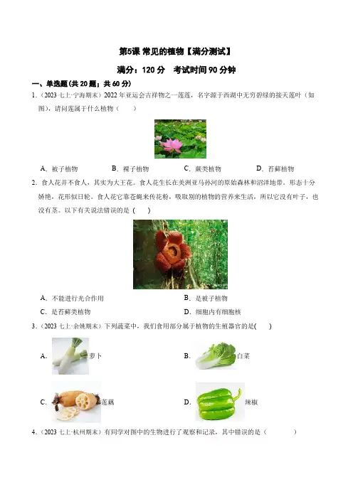第5课常见的植物-2023-2024学年七年级科学上册学练测(浙教版)(原卷版)2