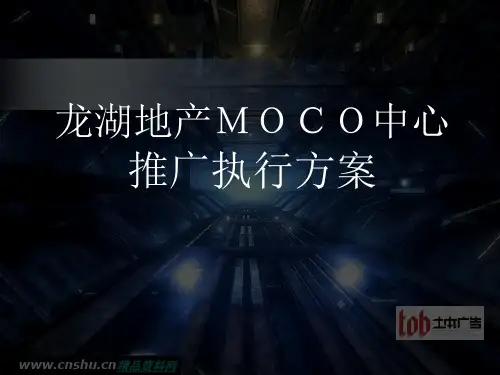 龙湖地产中心平面表现跟推广执行方案计划资料文档