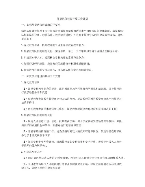 师资队伍建设年度工作计划
