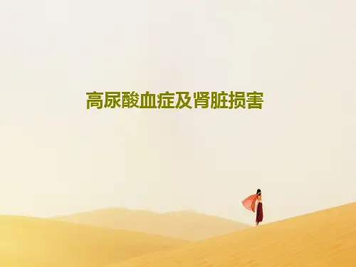 高尿酸血症及肾脏损害68页PPT