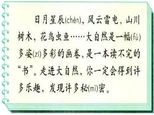二年级下册-《岩石书》PPT课件(最大的“书”)