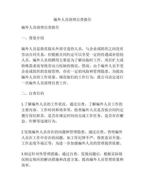 编外人员清理自查报告